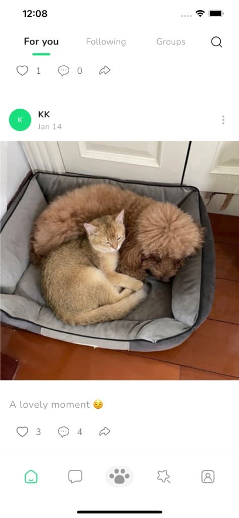 Social Feed - Browse pet community content